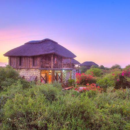 Manyara Wildlife Safari Camp Villa Zanzibar Buitenkant foto